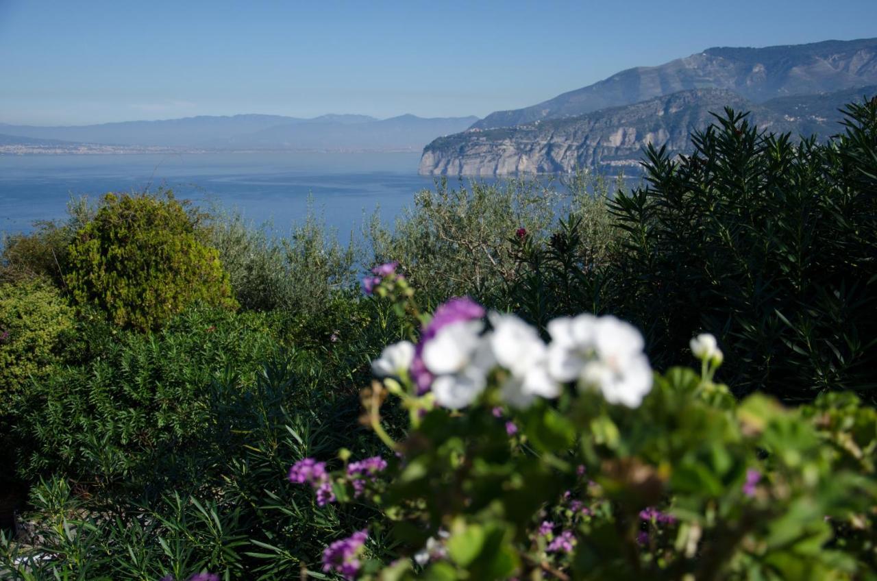Grand Hotel Aminta Sorrento Bagian luar foto