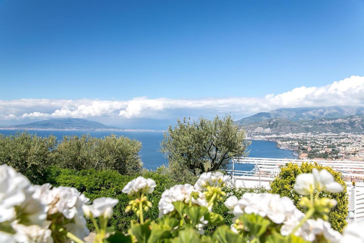 Grand Hotel Aminta Sorrento Bagian luar foto